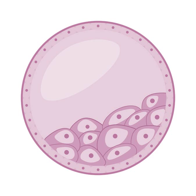 Ghandi fertilite centre