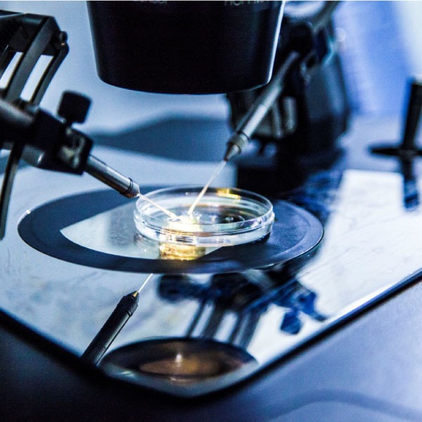 IMSI : INTRA CYTOPLASMIC MORPHOLOGICAL SPERM INJECTION